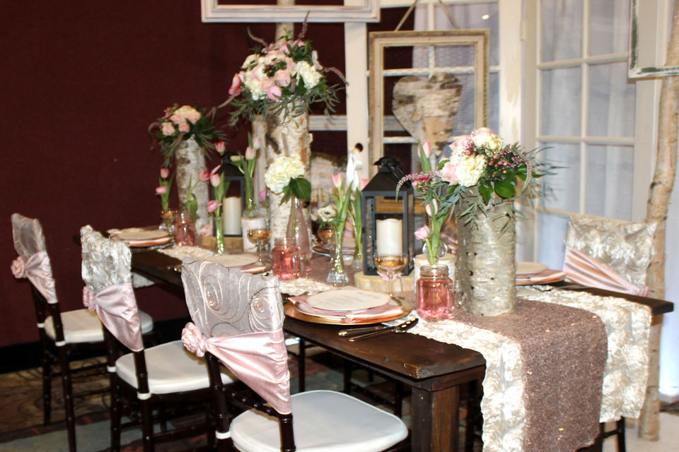 American Heart Association - Fantasy Wedding Faire - Reno 2014