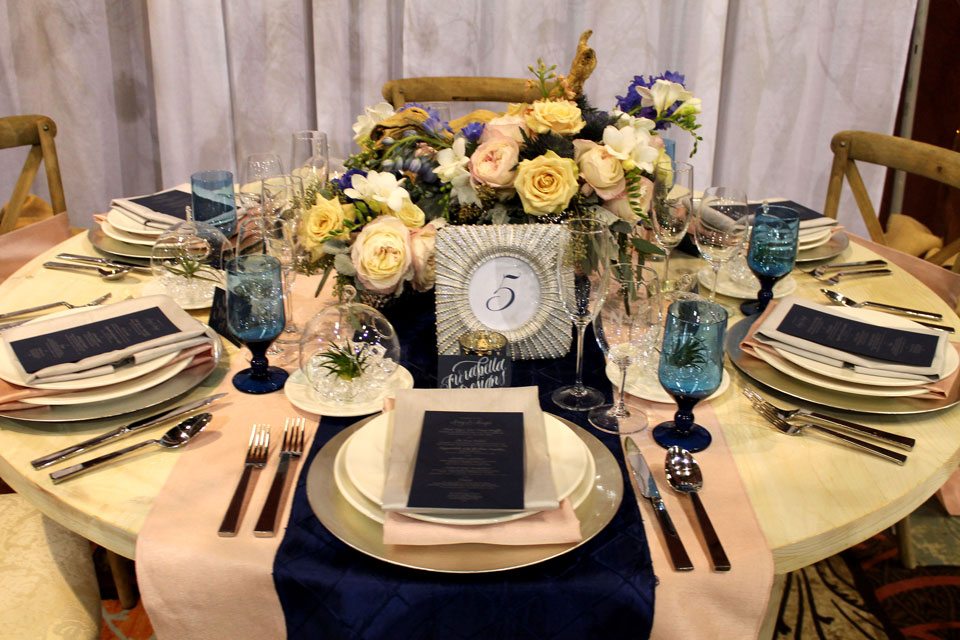 American Heart Association - Fantasy Wedding Faire - Reno 2014